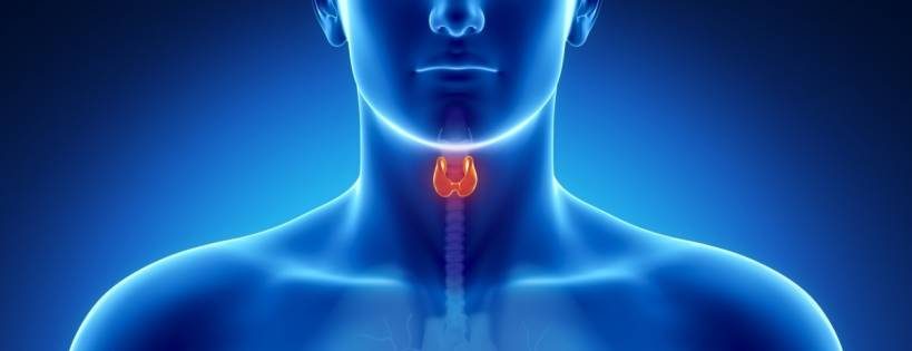 Stresses and Hypothyroidism