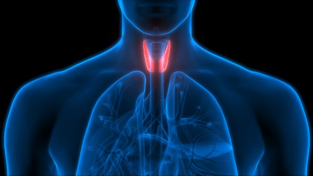 Untreated Hypothyroidism And Its Risks