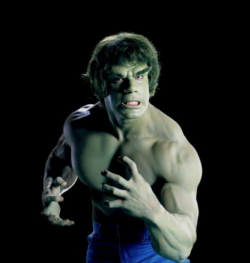 The Incredible Hulk - Lou Ferrigno The Incredible Hulk - Lou Ferrigno