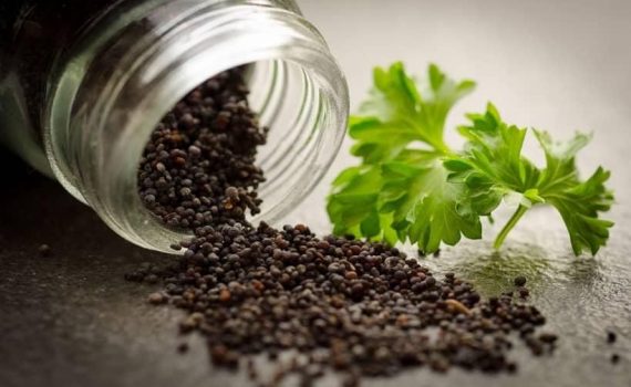 Underactive Thyroid Diet - Thyroid Supplements Guide
