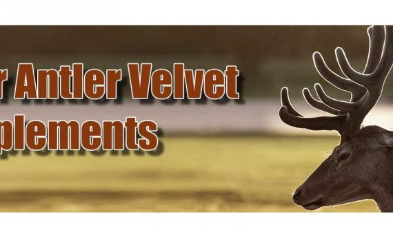 Is Deer Antler Velvet Really a Scam