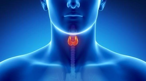 Thyroid Disorders Slide Show