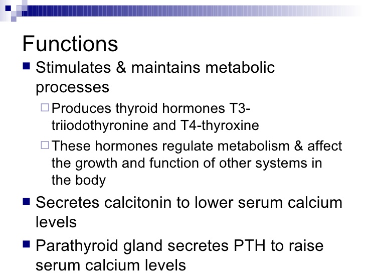 Thyroid Disorders Slide Show - Crank It!